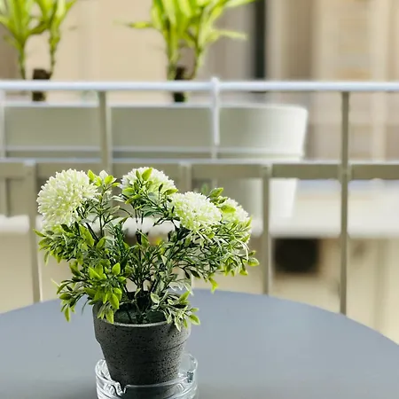 Aristotelous Square N.4 アパート *